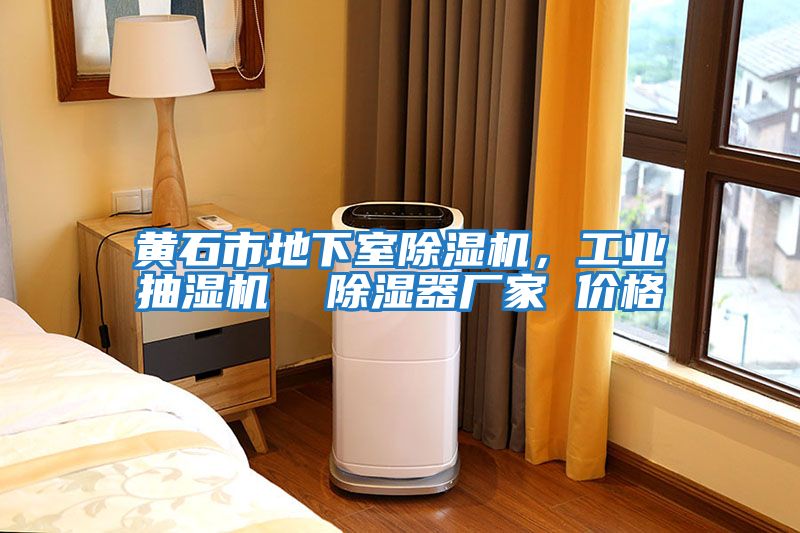 黃石市地下室除濕機(jī),工業(yè)抽濕機(jī) 除濕器廠家 價(jià)格