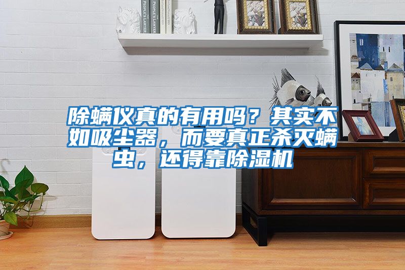 除螨儀真的有用嗎？其實不如吸塵器，而要真正殺滅螨蟲，還得靠除濕機