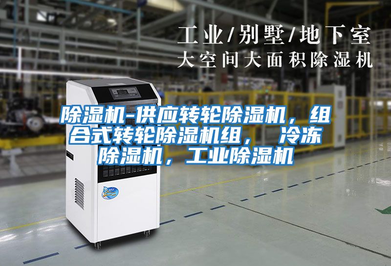 除濕機-供應轉輪除濕機,組合式轉輪除濕機組, 冷凍除濕機,工業(yè)除濕機