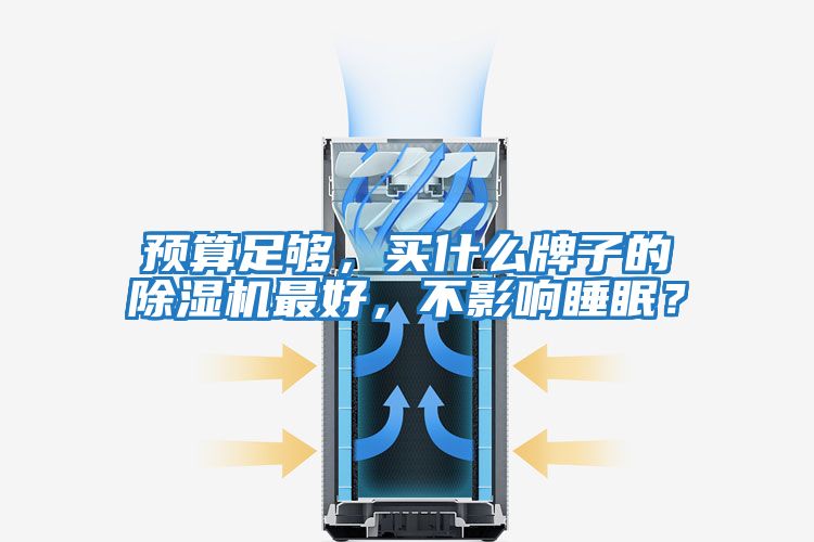 預(yù)算足夠,買什么牌子的除濕機(jī)最好,不影響睡眠?