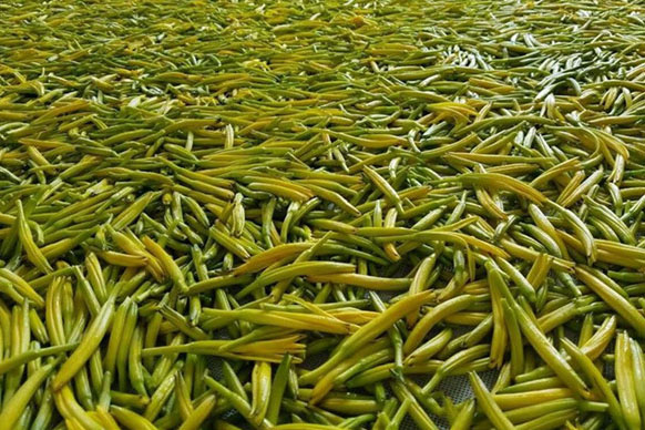 無硫金針菜烘干如何保持品相？不發黑？_除濕機廠家